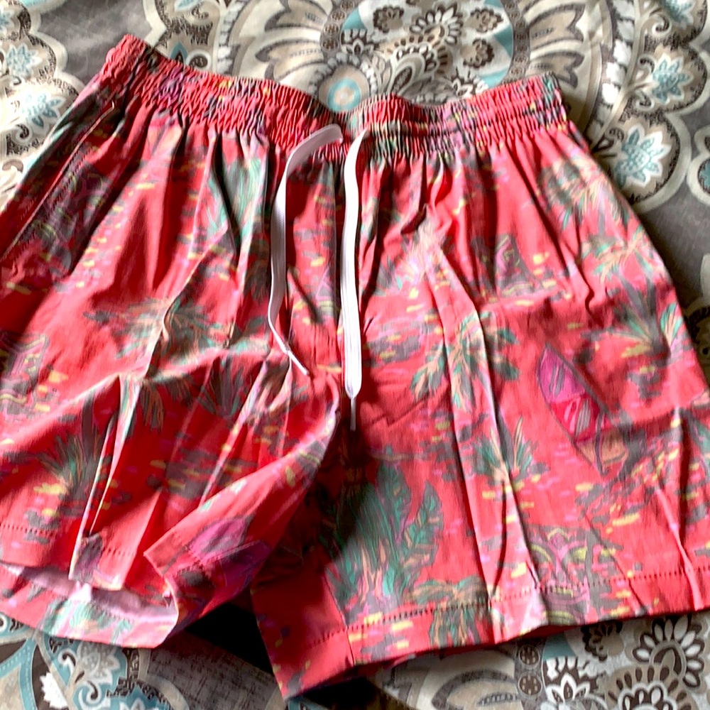 Chubbies swim trunks